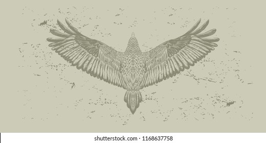 Vintage background with hand drawn raven. Grey sketch for tattoo art.Flying bird on the grunge background. Hand drawn owl. Vector isolated illustration. Sketch of tattoo art. Design print for t-shirt