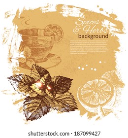 Vintage background with hand drawn sketch herbs and spices. Menu design