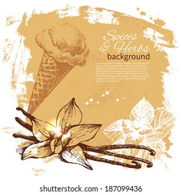 Vintage background with hand drawn sketch herbs and spices. Menu design 
