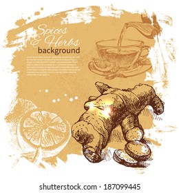 Vintage background with hand drawn sketch herbs and spices. Menu design