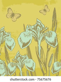 Vintage background with irises and butterflies couple