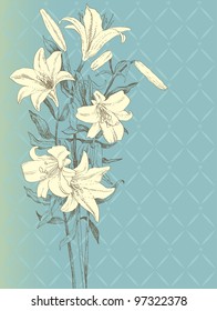 Vintage background with lily flower