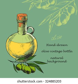 Vintage background with olive oil bottle and olive branch, hand-drawn vector illustration