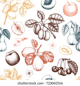 Vintage background with ripe fruits and berries  - apple, pear, cherry, peach, apricot trees. Hand drawn harvest illustrations.  Summer or autumn design. Seamless pattern