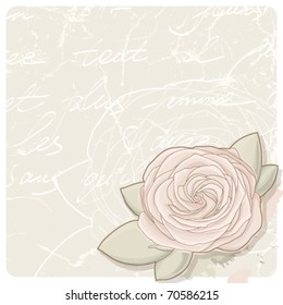 Vintage background with rose