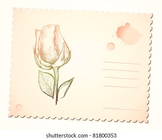 vintage background with rose, vector