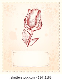 Vintage background with rose, vector image
