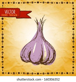 Vintage background with sketch garlic - vector