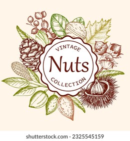 Fondo vintage con varias nueces. Cartel con almendras, nueces, avellanas y castañas. Ilustración dibujada por mano