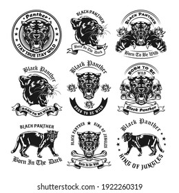 Vintage badges with black panther vector illustration set. Monochrome labels with dangerous wild big cat. Wildlife and predators concept can be used for retro template