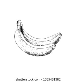 VINTAGE BANANA VECTOR
