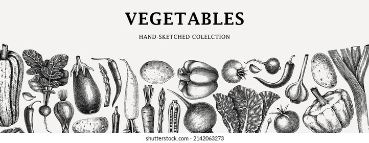 Vintage banner with hand-sketched vegetable illustrations. Vector design with healthy food elements for menu, recipe, web, wrapping, packaging. Garden vegetables border template in vintage style. 