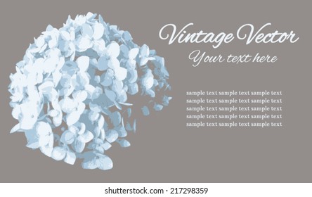 Vintage banner, postcard with flowers. Vector