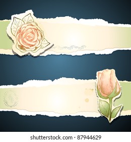 Vintage banner with roses, vector