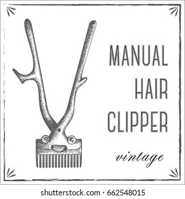 vintage barber shop vector