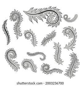 Vintage baroque frame scroll ornament engraving border floral retro pattern antique style acanthus foliage swirl decorative design element filigree calligraphy vector