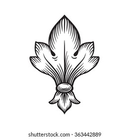 Vintage baroque frame scroll ornament engraving border floral retro pattern antique style acanthus foliage swirl decorative design element filigree calligraphy vector