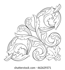 Vintage baroque ornament. Retro pattern antique style acanthus. Decorative design element filigree calligraphy.