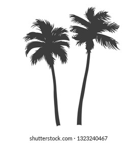 Vintage beautiful palm trees in monochrome style isolated vector illustration