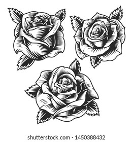 Vintage beautiful rose flowers set in monochrome style isolated vector illustration