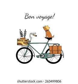 Vintage bicycle illustration