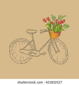 Vintage  bicycle with wicker basket filled with tulips