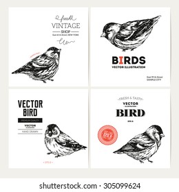 Vintage bird design template collection. Vector illustration