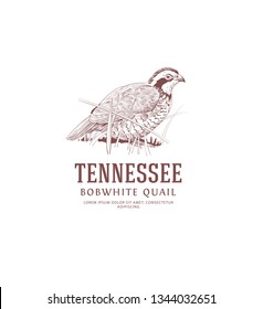 Vintage Bird Logo. Tennessee State Bird. Bobwhite Quail