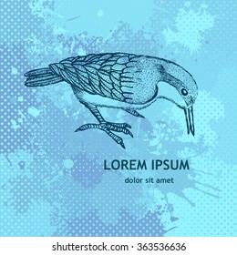 Vintage bird. Vector