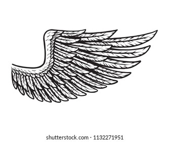 Vintage bird wing monochrome concept with feathers isolated vector illustration