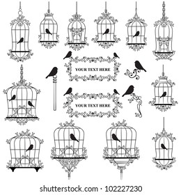 Vintage birds   birdcages collection