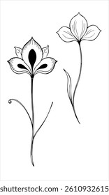 vintage bitanical Flower for designing
