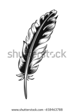 Vintage black feather isolated on white background Stock photo © 