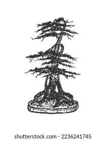Vintage black hand drawn bonsai tree. Freehand drawn potted tall bonsai tree vector illustration design concept gardening logo.