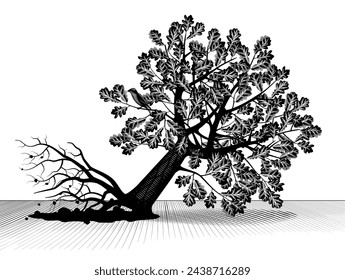 Vintage black and white engraved drawing of an uprooted and fallen oak tree with foliage and a bird.  Vector illustration