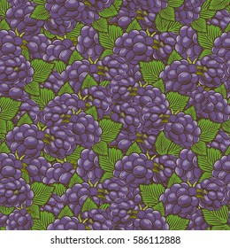Vintage Blackberry Seamless Pattern