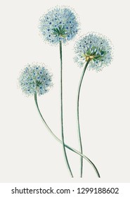 Vintage blue leek flower branch for decoration