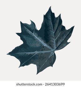 Vintage blue maple leaf illustration isolated on white, vector. 