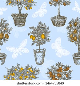 Vintage blue seamless pattern. Fruit trees in pots and butterfly. Mandarin, peach, lemon and pear. Engraving style. Vector illustration.