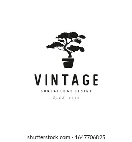 Vintage Bonsai Tree Logo Design Vector