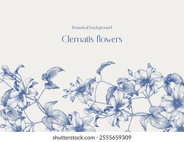 Vintage botanical background Clematis blooming branches. Blue beige. Hand drawn elements. Elegant floral illustration for design greeting card, invitation, wedding decor, poster