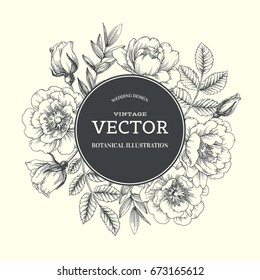 Vintage Botanical Background With Dog Rose Wreath. Vector Floral Hand Drawn Illustration Of Briar Flowers And Leaves. Wedding Design. Engraving Style