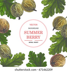 Vintage botanical background with gooseberry. Vector engraving illustration of summer berries. Texture with hand drawn fruits in sketch style