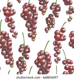 Vintage botanical background with hand drawn red currant. Vector seamless pattern. Engraving illustration with summer berries. Floral texture. Sketch style