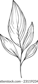páginas vintage de coloración botánica, elementos botánicos, ilustración botánica de flores, ilustración de hojas en blanco y negro, hojas de dibujo de la línea del planeta, arte de línea botánica.
