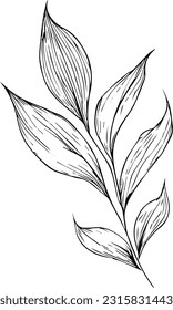 vintage botanical coloring pages, botanical elements, planet flower illustration, botanical illustration black and white, botanic line drawing leaves, botanical line art. 
