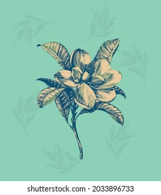 Vintage botanical flower plumeria-magnolia illustration. EPS10. exotic flower. Forest green