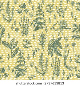 Vintage Botanical Herb Seamless Pattern