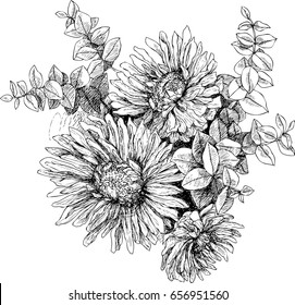 Vintage botanical illustration blossom garden flowers.