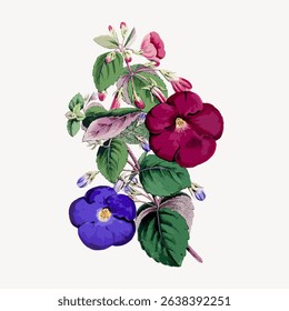 Vintage botanical illustration of colorful flowers. Features vibrant flowers with green leaves. Classic floral art with red and purple flowers. Detailed flower design. Vintage flower vector.